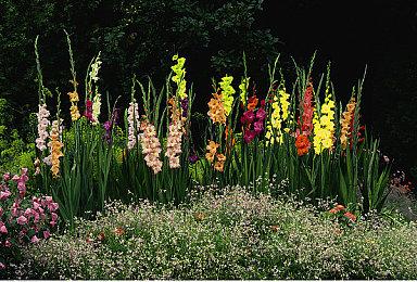 SE重金聘工匠打造《最终幻想16》主角武器 并在伦敦塔展示